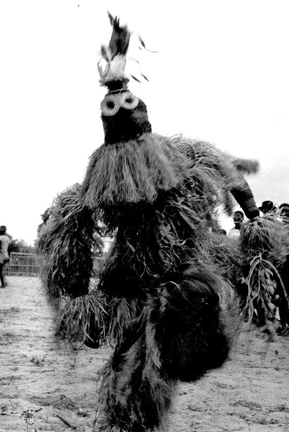 Feshi 195420161214_09114861