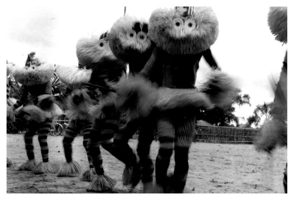 Feshi 195420161214_09161019