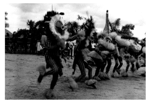 Feshi 195420161214_09170157