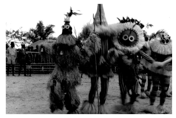 Feshi 195420161214_09171522