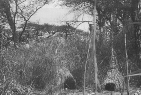 Mbote Bembe shrines nature spirits number 99 1950