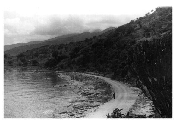 Zyboa corniche Tanga number 23