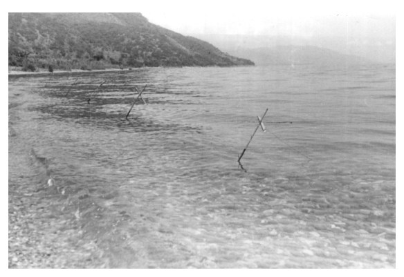 zyoba fishing lines 1950