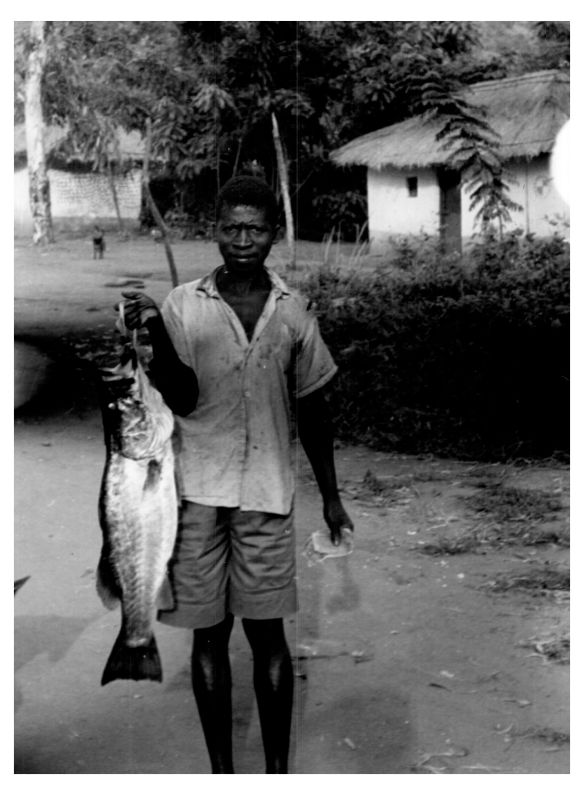 Zyoba Sangala fish number 37 1950